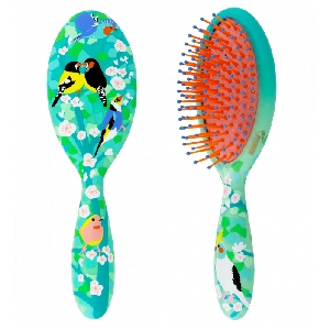 PYLONES BROSSE CHEVEUX PETITE<br>BIRD