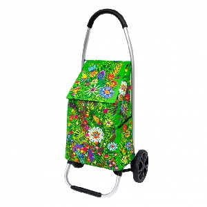 PYLONES CADDIE TROLLY<br>SPRING