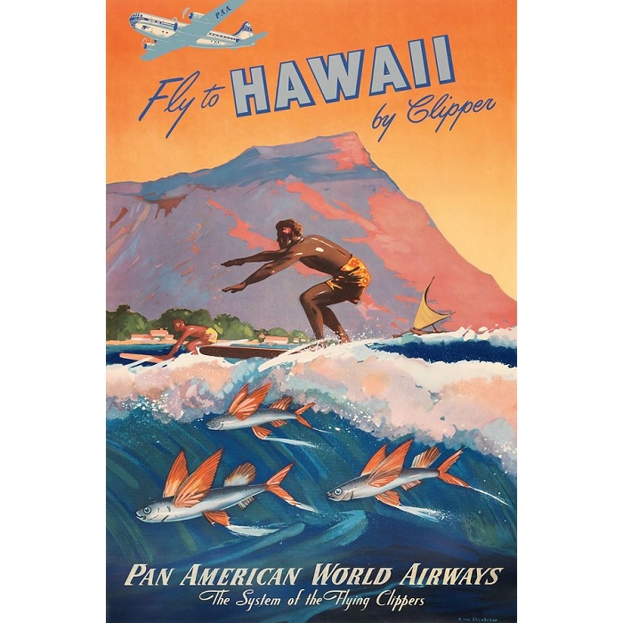 Blueshaker poster hawai 