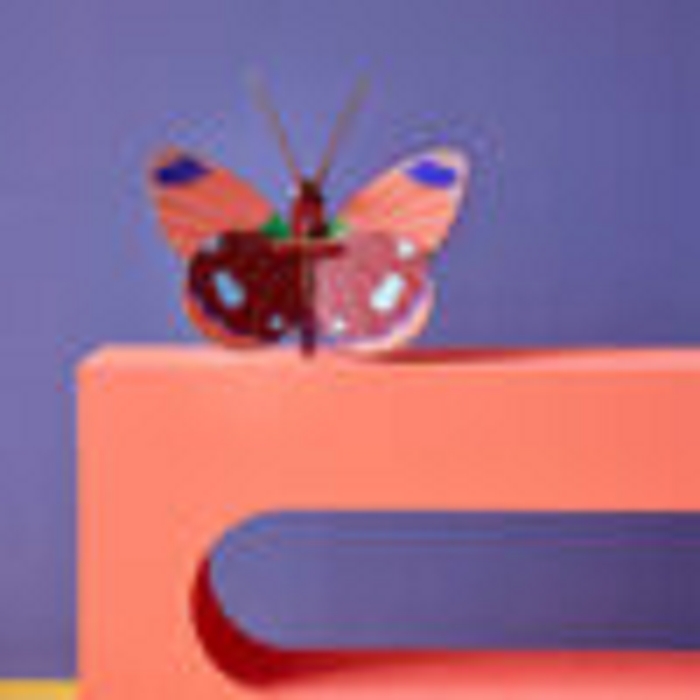 Studio roof wall deco pm little wonder delias butterfly2512812_2