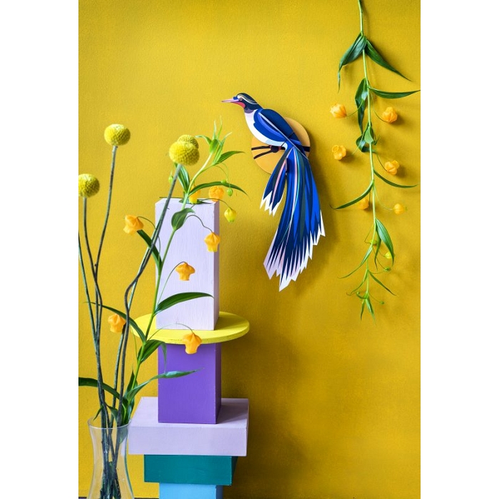 Studio roof paradise bird flores2535601_2
