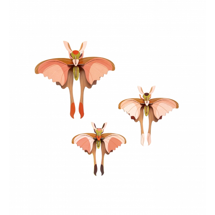 Studio roof dragonflies set 3 butterfly
