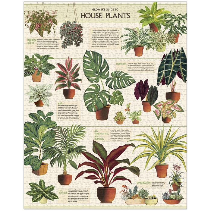 Letterbox puzzle 1000pc plantes 2835101_3