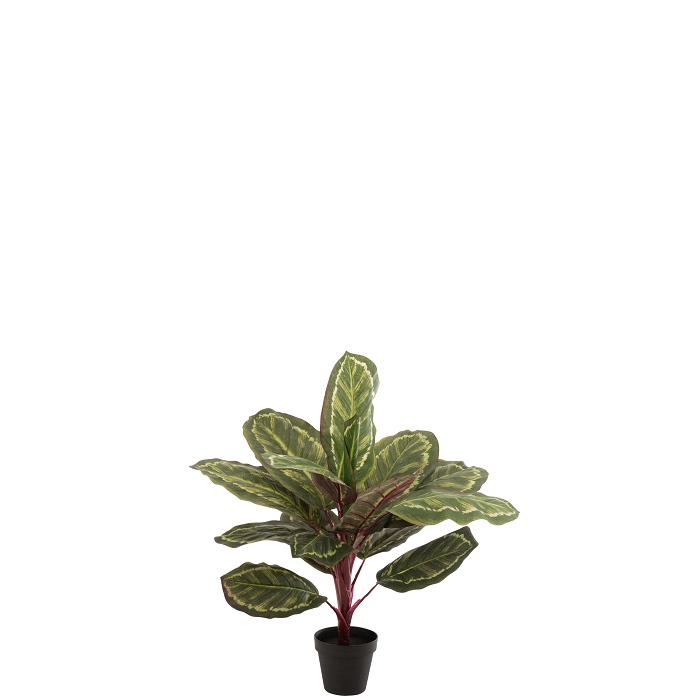 Jline peacok plante pot 
