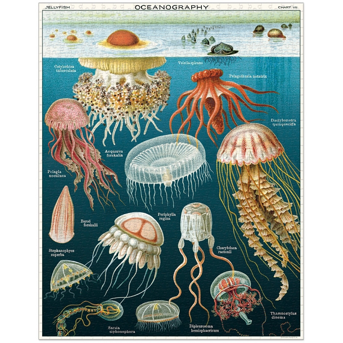 Letterbox puzzle 1000pc meduses 4001801_2