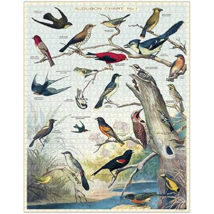 Letterbox puzzle 1000pc oiseaux d audubon 5050501_3