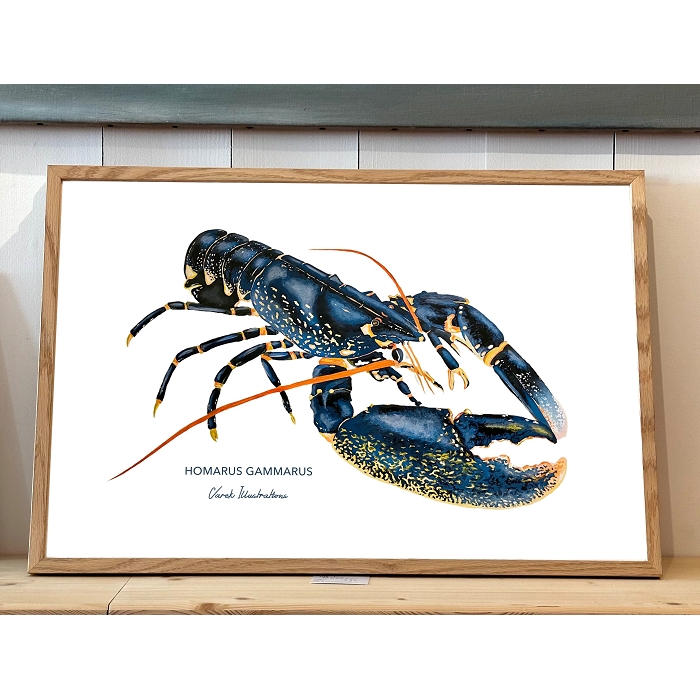 Varek affiche 30x40 homards 