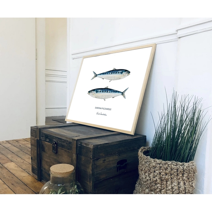 Varek affiche 30x40 sardines 7069801_3